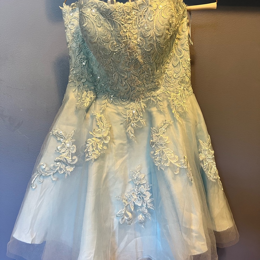 Light blue tulle dress with appliqués